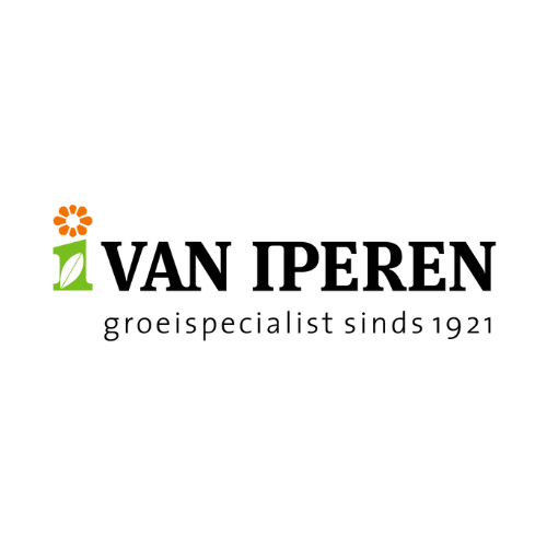 9.png